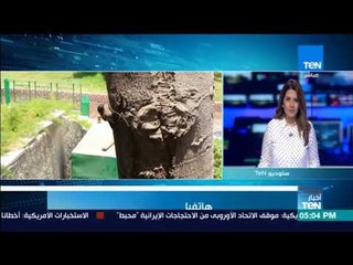 كاهن كنيسة العذراء: تشريف السيد الرئيس السيسي في افتتاح الكاتدرائية  اعطى العيد طابعًا مميزًا