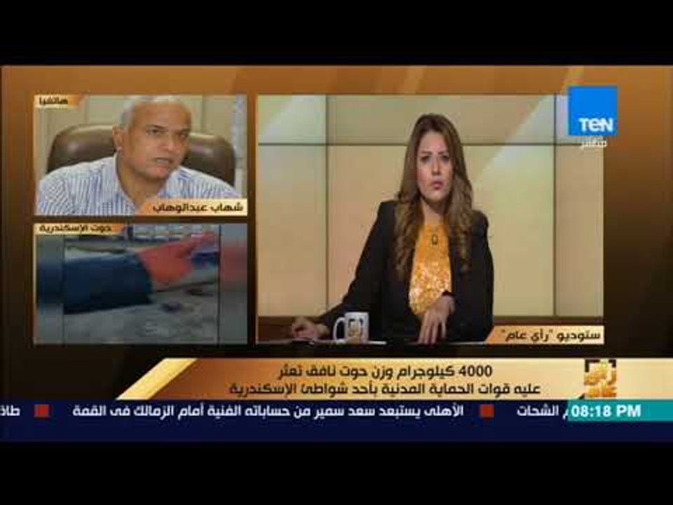 رأي عام – رئيس جهاز شؤون البيئة يكشف أسباب نفوق حوت الإسكندرية