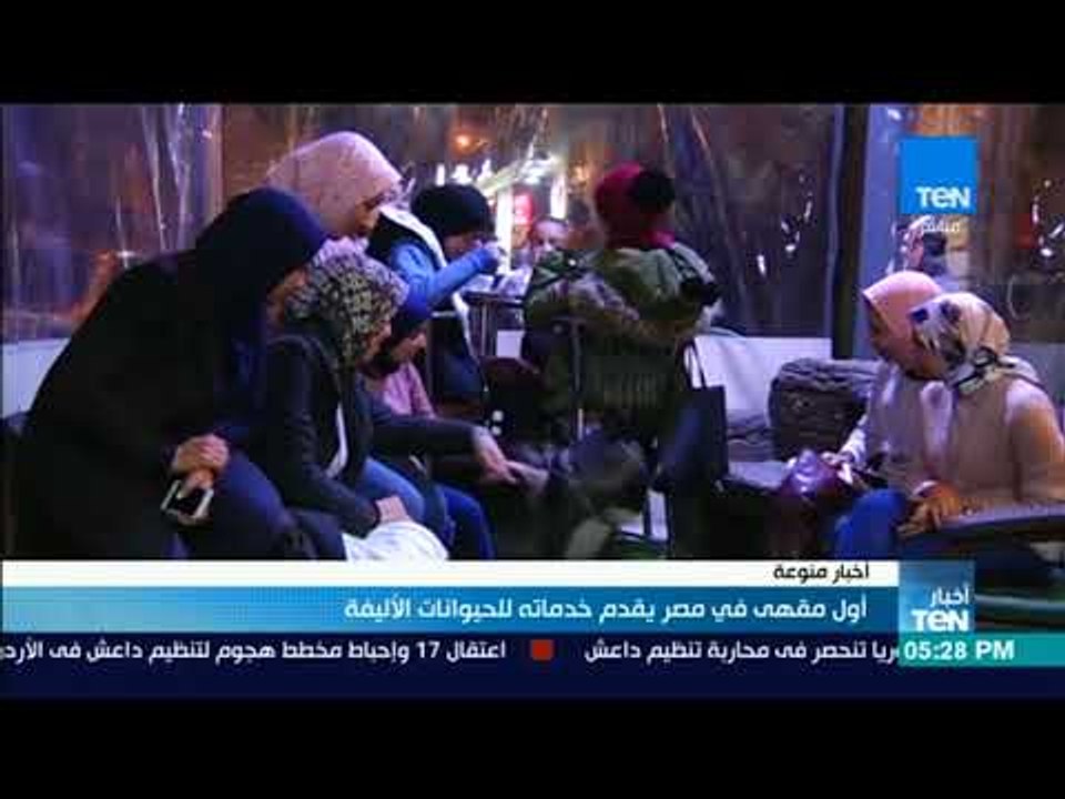أخبار TeN - أول مقهى في مصر يقدم خدماته للحيوانات الأليفة