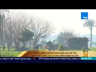 رأي عام - 724 فدان مساحة الأراضي المقرر زراعتها بالأرز الموسم المقبل