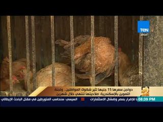 رأي عام - شاهد دواجن سعرها 15 جنيها تثير شكوك المواطنين