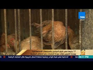 رأى عام - 17 جنيهًا سعر كيلو الدواجن بالمجتمعات الاستهلاكية.. ووزارة التموين تؤكد جودتها