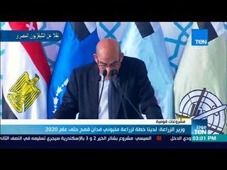 موجز TeN-  وزير الزراعة  لدينا خطة لزراعة مليونى فدان قمح حتى عام 2020