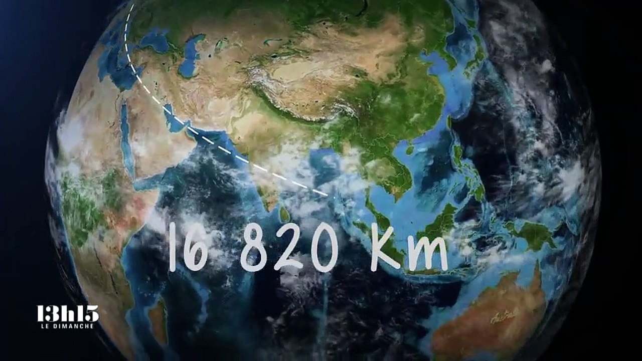 Climat : certains coraux du récif de Nouvelle-Calédonie pourraient disparaître d'ici à la fin du siècle