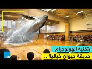 الهولوجرام.. حديقة حيوان خيالية