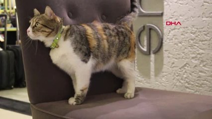 Antalya Avm'nin Maskotu 'Suzi'