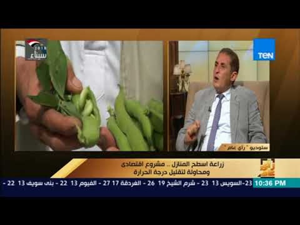 رأي عام - لو أنت من سكان المدن و مش متاح لك أنك تزرع سطح منزلك ..تعرف على الحل