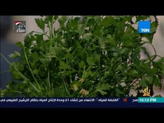 رأي عام - د.أحمد توفيق: عملنا أنظمة حديثة ليصبح مشروع زراعة الأسطح تجاري بعائد شهري 2000 جنية"