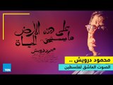 محمود درويش.. الصوت العاشق لفلسطين