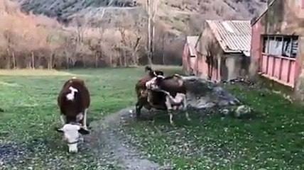 Güzel çalışma (nice job)
