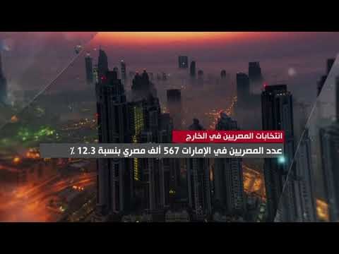 حقائق وأرقام حول انتخابات المصريين المقيمين بالخارج.. تعرف عليها