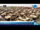 موجزTeN | القوات المسلحة تنهي استعداداتها لتأمين الانتخابات في الحافظات كافة