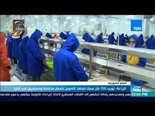 موجزTeN | الزراعة: توريد 700 طن سمك لمنافذ التموين بأسعار مخفضة ةستمرون في الضخ