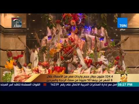 رأي عام - 324.4 مليون دولار حجم واردات مصر من الأسماك خلال 8 أشهر من بينها 50 مليونا من سمك الرنجة