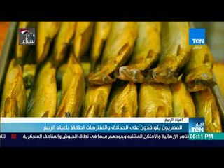 أخبار TeN - المصريون يتوافدون على الحدائق و المنتزهات احتفالا بأعياد الربيع