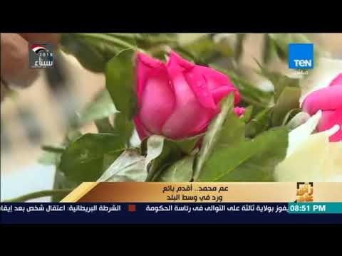 رأي عام - تقرير - عم محمد.. أقدم بائع ورد في وسط البلد