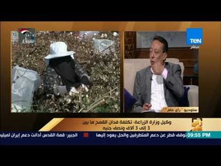 رأي عام - وكيل الزراعة يوضّح كيف يتم سرقة الفلاح من خلال الوسطاء في بيع القمح