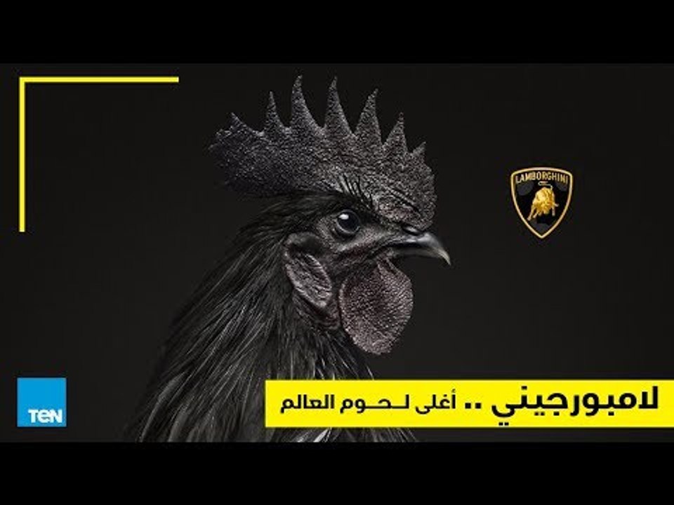 الدجاج الأسود "لامبورجيني".. أغلى لحوم العالم