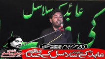 Allama Qalab Abbas 20th Muhram 1440(2018) Choti Behak Hafizabad