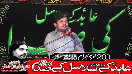 Zakir Ali Nawab Hafiz Abad 20th Muhram 1440(2018) Choti Behak Hafizabad