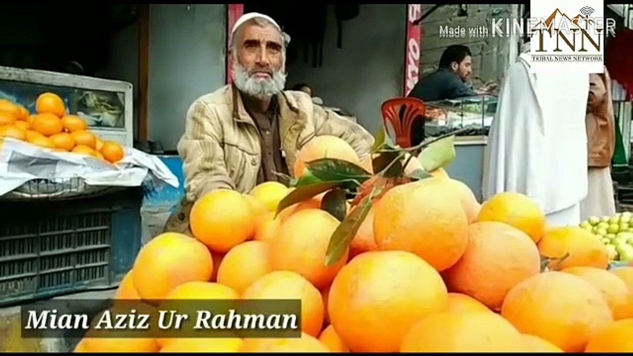 Disable Fruit Seller at Bajaur
