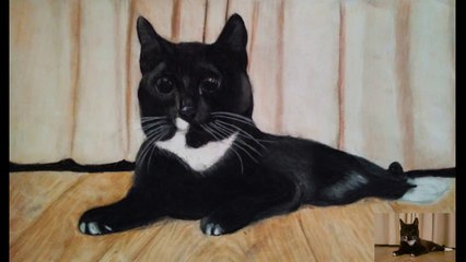 Cat Drawing With Colored