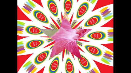 Friendship is like a flower [Quotes and Poems]