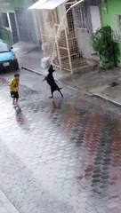 Un enfant et un chien s'amusent sous la pluie