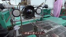 NHKスペシャル選 シリーズ深海の巨大生物「謎の海底サメ王国」