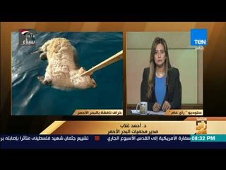 رأي عام - تعرف على عقوبة إلقاء أي حيوانات نافقة في البحر