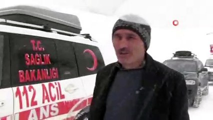 Türkiye'nin Gürcistan sınırındaki Artvin'in Macahel bölgesinde kar yağışı hayatı olumsuz etkiliyor
