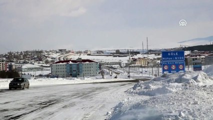 Ardahan'da kar ve tipi
