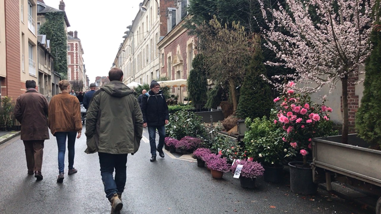 560e foire aux arbres de Lisieux