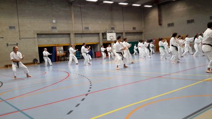 Stage de Bruxelles 2014 : le kata Heian yodan