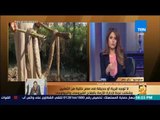 رأي عام - إجراءات عاجلة من محافظة البحيرة بسبب انتشار الثعابين بقرية بالبحيرة ولدغ 7 مواطنين