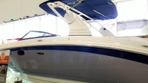 2019 Sea Ray SDX 270 Outboard For Sale at MarineMax Panama City Beach