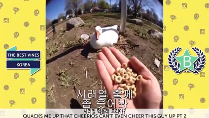 창원출장안마 -100%ョ안전Ø7Øu4949y6356 [카톡GM1212]ß창원전지역출장마사지샵창원출장hk안마co창원출장마사지황형œßþ출장맛사지20대매니저