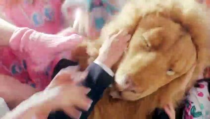 동두천출장안마-예약금없는출장샵{카톡VVV75}ヴØ1Ø_2703_7745 (동두천콜걸샵)동두천애인대행ポ동두천콜걸샵ポ동두천출장만남 동두천출장가격 동두천조건만남 동두천출장샵cos