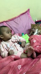 Ce chaton va avoir la peur de sa vie à cause d'un bébé enrhumé