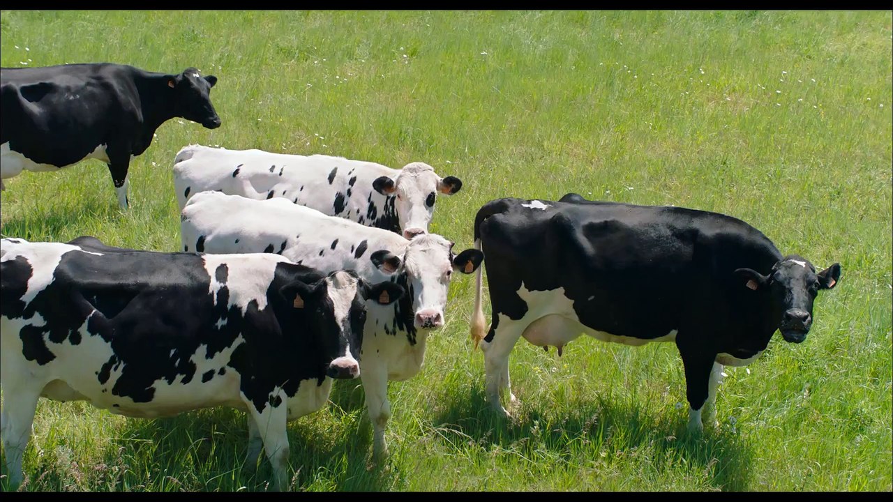 Monsieur Claude 2 Film