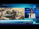 أخبار TeN - اللواء طيار أركان حرب هشام الحلبي: الجيش سيطر على الحدود الأربعة في سيناء