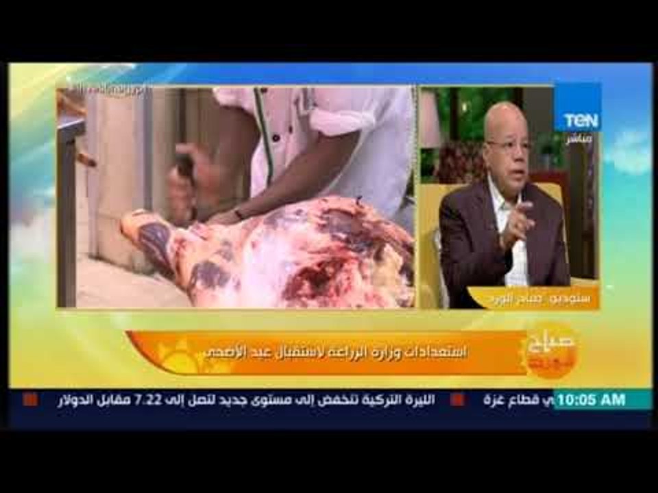 صباح الورد - المتحدث باسم وزارة الزراعة ينصح بشراء اللحوم المستوردة.. ويؤكد: من أجود أنواع اللحوم