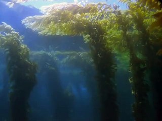 대전출장안마 -100%ョ안전Ø7Øg5222k7803 [카톡KB600]ぜ대전전지역출장마사지샵대전출장hk안마co대전출장마사지황형∠⊥≤출장맛사지24시모텔콜걸