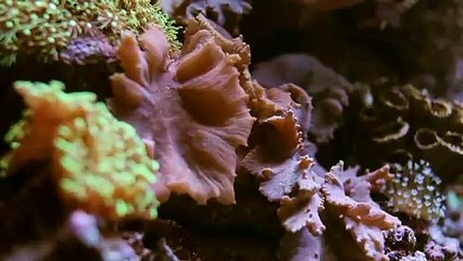 대구출장안마 -신용100%ョØ1Øa2671a8135(CN4989카톡)ぁ대구전지역출장마사지샵'대구출장wo안마gy대구출장마사지황형▨♨¶조건만남조건만남