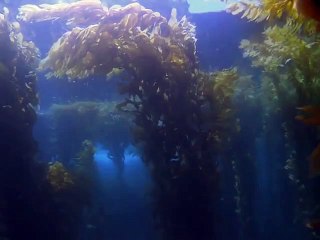 부산출장안마 -100%ョ안전Ø1Øs2671a8135(CN4989카톡)ど부산전지역출장마사지샵부산출장hk안마co부산출장마사지황형☜●♀모텔출장모텔출장