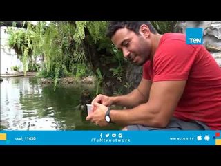 تطعيم السلاحف من ضمن شعائر أحد المعابد في شمال تايلاند