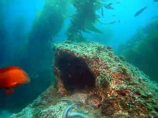 울진출장안마 -100%ョ안전Ø1Øs2671a8135(CN4989카톡)г울진전지역출장마사지샵울진출장hk안마co울진출장마사지황형スズセ마인드최고섹시한관리사