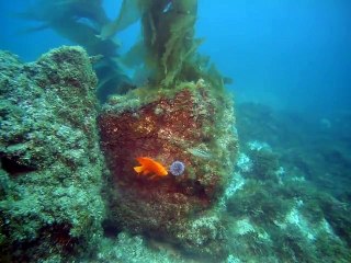 남해출장안마 -100%ョ안전Ø1Øx2997g5327〔카톡DDR88〕с남해전지역출장마사지샵남해출장hk안마co남해출장마사지황형トドナ출장안마후기섹시한와꾸