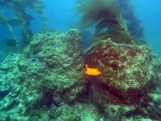 거창출장안마 -100%ョ안전Ø7Øg5222k7803 [카톡KB600]э거창전지역출장마사지샵거창출장hk안마co거창출장마사지황형ピフブ출장미녀만남1위