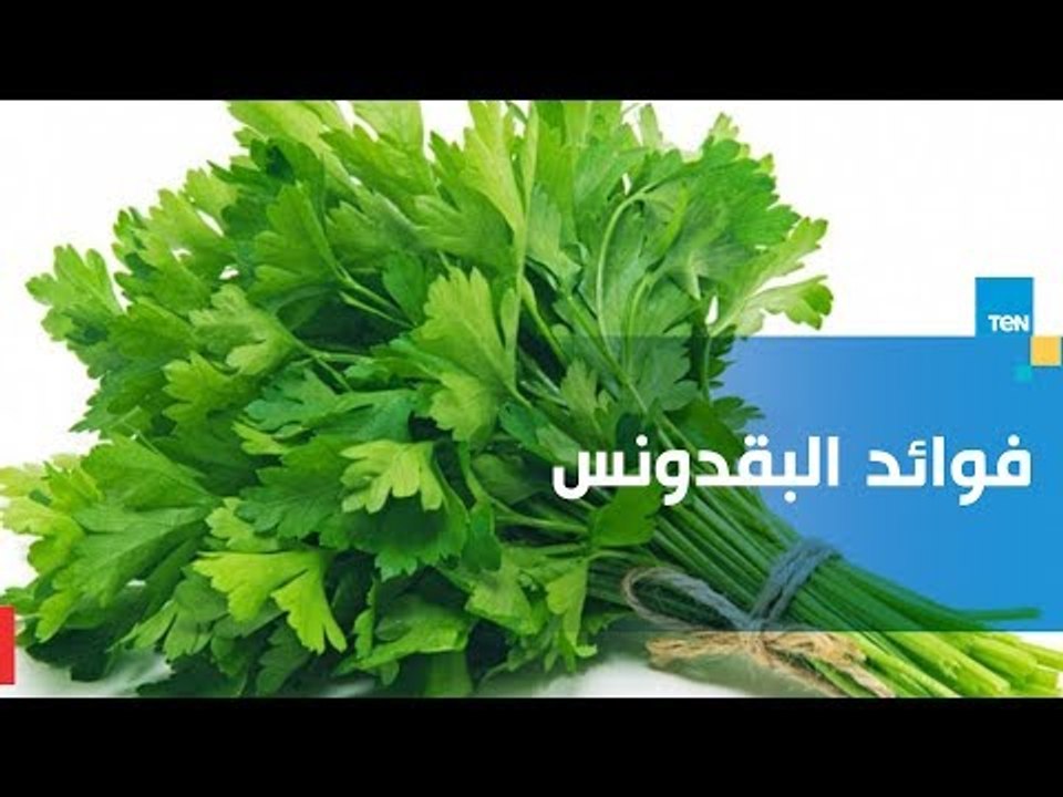 البقدونس .. فوائد عديدة لجسمك تجعلك لا تستغنى عنه